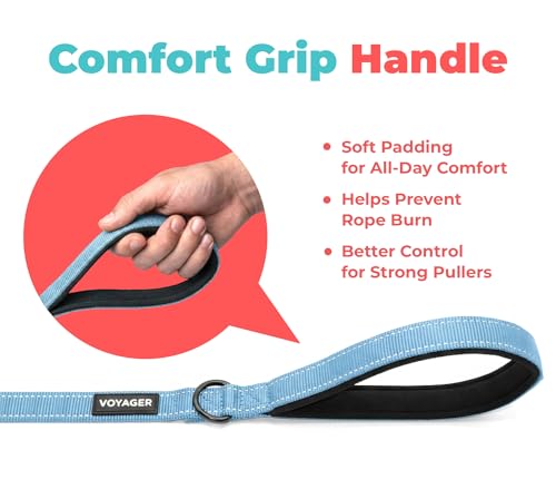 Image of Best Pet Supplies Voyager Reflective Dog Leash or Collar with Neoprene Handle, for Small, Medium, and Large Breed Puppies, Cute and Heavy Duty for Walking, Running and Training - Baby Blue (Leash), L