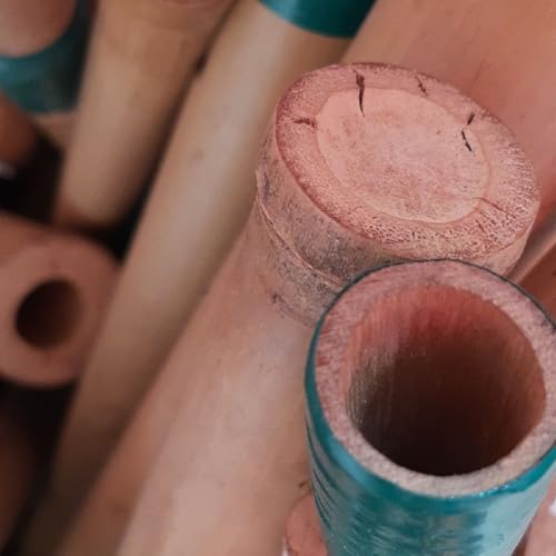 Maria Baiana, Sarav&aacute;!