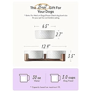 LE TAUCI Dog Bowls Ceramic, Bowl Set with Acacia Wood Stand, 3 Cups Dog Food and Water Bowl for Small Medium Sized, Weighted Dog, Pet Bowls LE TAUCI Dog Bowls Ceramic, Bowl Set with Acacia Wood Stand, 3 Cups Dog Food and Water Bowl for Small Medium Sized, Weighted Dog, Pet Bowls