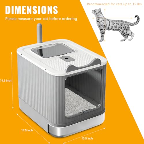 Arenero cubierto de acero inoxidable para gatos miniatura 5