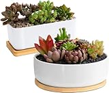 ARVINKEY White Ceramic Succulent Plant Pots, 1 Rectangular Flower Pot + 1 Round Planter, Set of 2 Small Cactus Container, Bonsai Pots, Succulent Pots with Drainage Hole& Bamboo Tray (No Plant)
