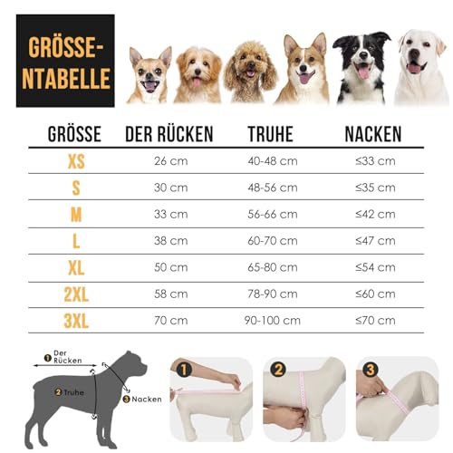 SlowTon Regenmantel Hund wasserdicht, durchsichtige doppellagige Regenjacke Hund mit Kapuze für kleine, mittlere und große Hunde, Hunderegenmantel mit reflektierendem Streifen und Aufbewahrungstasche