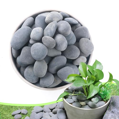 Image of 2.4LB River Rocks,Mexican Beach Pebbles for Plants,Potting,Garden Landscape Stone Paving Stone Grey 1Inch - 2Inch