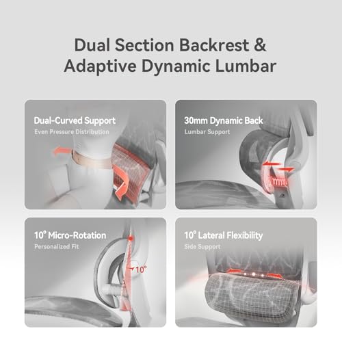 Image of SIHOO M59AS Ergonomic Office Chair, Desk Chair with 3D Flip-up Armrests, Computer Chair with Dual Back Design and Adaptive Dynamic Lumbar Support Grey