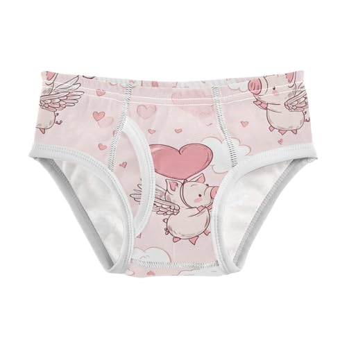 Wusikd Cute Pig Wings Boys' Underwear Cotton Heart Boys Briefs Soft Toddler Underwear 2T