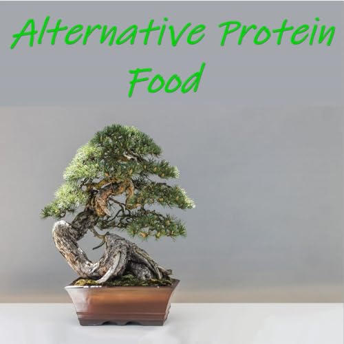 Alternative Protein Food Podcast Por NOWO SNC arte de portada