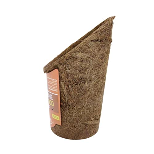 Kit 6 Vasos Natural De Fibra De Coco Tipo Cone Para Pendurar Orquídeas