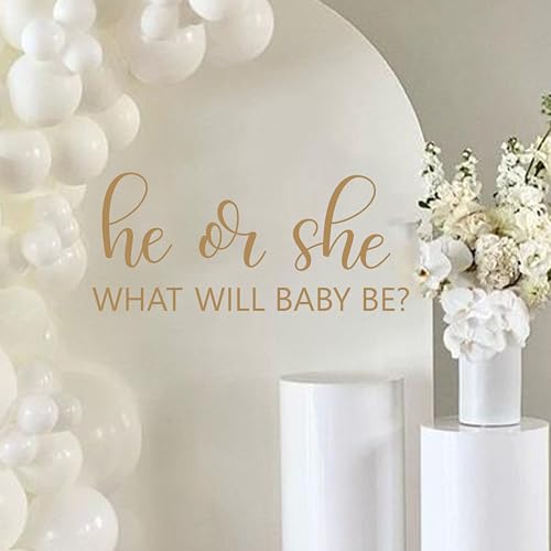 He or She What Will Baby Be Decal - He or She Baby Shower Decorations Decal, Boy or Girl Gender Reveal Party Decorations Sticker for Party Background, Balloon Arch