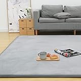 Colorsroom カーペット ラグ 極厚25mm 200×250cm 約3畳 クッションラグ 防音 厚手 撥水加工 防ダニ 抗菌 防臭 低ホルム もちもち ふわっと手触り ホットカーペット対応 低反発と同じ厚み ラグマット こたつ敷きマット リピングマット ライトグレー(NEW)VTJ049-200250-LGY