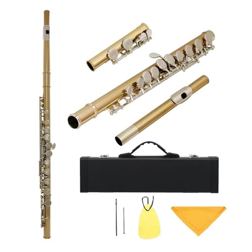 t[gyZbg 16N[Yht[g C zCg؊Ǌy EL[{bNXANZT[t(Gold Silver)