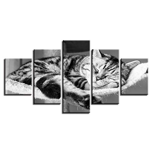 KGKBH 5 Dipinti consecutivi Quadro Moderno Immagini per Poster Immagini Decorazioni per la casa 5 Pannelli Gatto Soggiorno Tela Stampa HD Pittura Immagine modulare