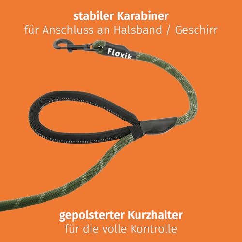 Floxik Tauleine für Hunde Grün | Innovative 1,5m Hundeleine mit Zwei Griffen und reflektierenden Nähten für mittelgroße & große Hunde | wetterbeständiges & belastbares Kletterseilmaterial