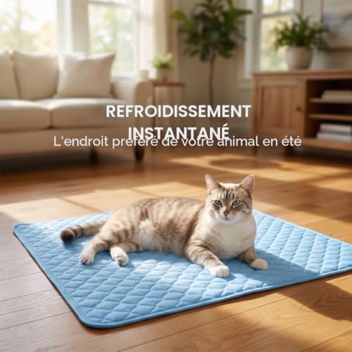 Pnedeodm Tapis Rafraîchissant pour Chien et Chat, Couverture Respirante Lavable, Résistant aux Morsures, Bleu, Tailles S à XXL (S-40 * 30CM) – vue 2
