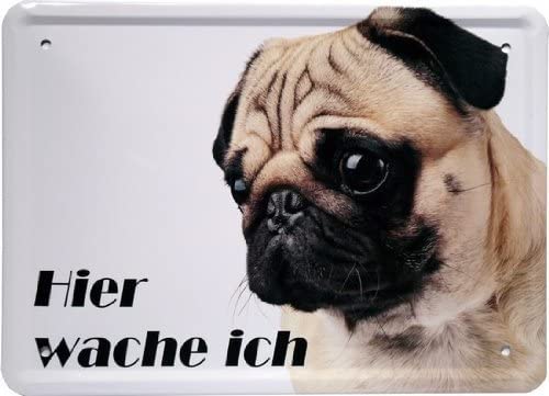 WOGEKA ART Retro Blechschild - Mops - hier wache ich - witziger Spruch als Geschenk-Idee zum Geburtstag Weihnachten zur Dekoration 15x21 cm Vintage-Design aus Metall MJ 24