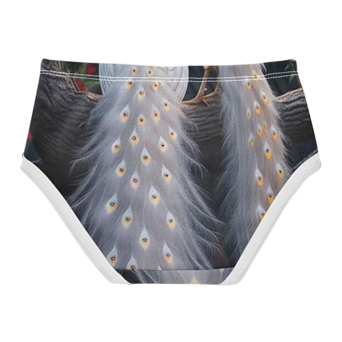 Girls Underwear Toddlers 2t Cotton Panties Little Girl Fun Briefs Underpants White Peacocks Red Flowers2