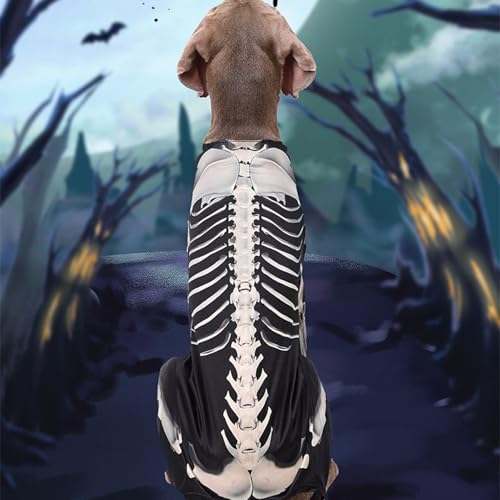 Filvczt ���p�R�X�`���[��, ���p �X�P���g�� �W�����v�X�[�c, �y�b�g �n���E�B�� �E�F�A ���^�� �{�f�B�X�[�c ���O ���ł��� �z�[���p�[�e�B�[ �R�X�v�� ���� �L�O�ʐ^