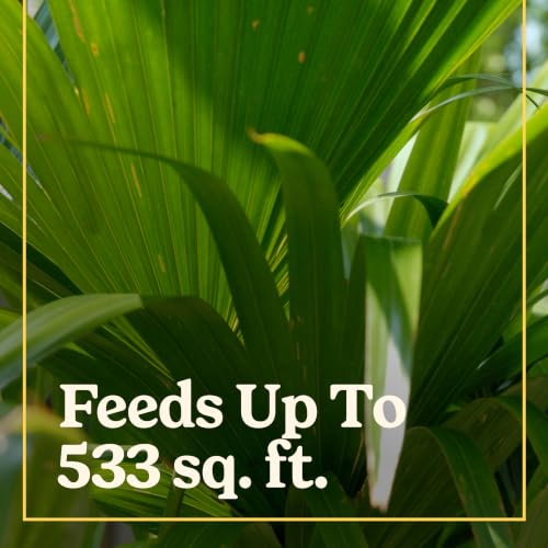 Miracle-Gro Shake 'N Feed Palm Plant Food, 8 lb. by Miracle-Gro - Image 2