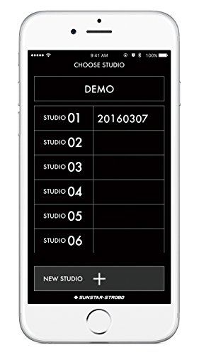 サンスターストロボ『MONOSTARC4#01103』