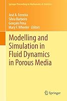 Modelling and Simulation in Fluid Dynamics in Porous Media: 28 (Springer Proceedings in Mathematics & Statistics) 148998948X Book Cover