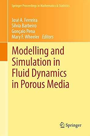Modelling and Simulation in Fluid Dynamics in Porous Media: 28 2013th Edition Modelling and Simulation in Fluid Dynamics in Porous Media: 28 2013th Edition book cover