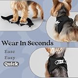 rabbitgoo Dog Harness Small Dog, Step-in Soft Mesh Puppy Harness with Reflective Strips, Lightweight Breathable Pet Vest for Walking Training, Black, XS - Image 6