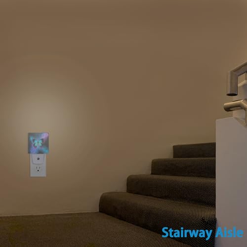 Image of Night Lights Plug into Wall Colorful Blue Butterfly Night Lights Dusk to Dawn Sensor Led Lamp for Women Men,Led Lights for Stairway /Hallway /Bedroom,0.5W