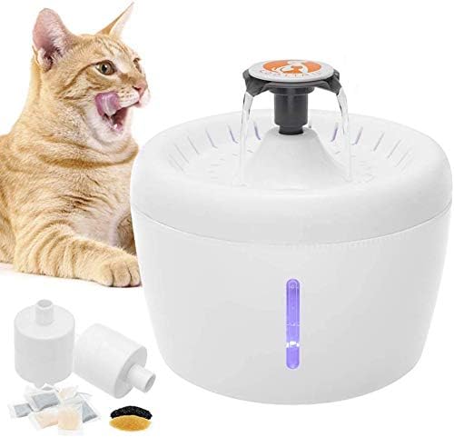 cat waterfall fountain