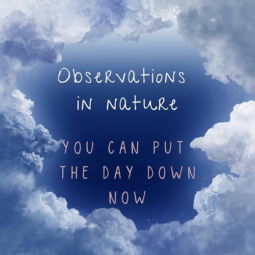 Observations in Nature | You Can Put the Day Down Now