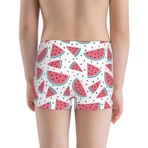 Boys' Cotton Boxer Brief Soft Underwear-Watermelon3