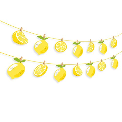 Kristin Paradise Lemon Banner, Citrus Lemonade Party Sign, Lime Birthday Decorations, Boy Girl Baby Shower Theme Supplies, Bday Kids 1st First Decor