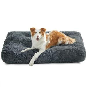 Feandrea Hundebett, Hundekissen, Flauschige Hundematte, Langer Plüsch, 110 x 73 cm, weiche Polsterung, maschinenwaschbar, Hundekorb, multifunktional, tragbar, dunkelgrau PGW203G02