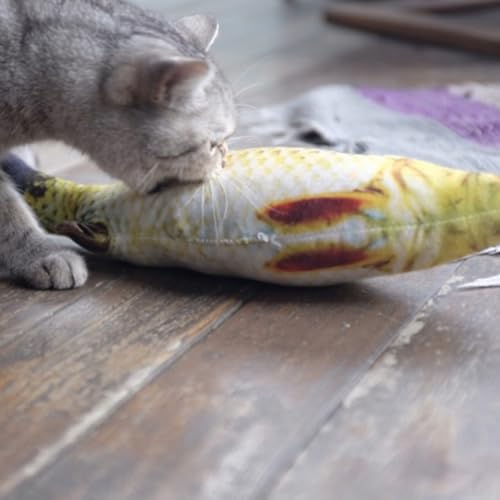 Brinquedos de erva-dos-gatos simulação pelúcia forma peixe boneca realista interativo suprimentos pa