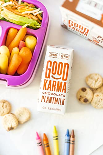 Good Karma Chocolate Oat Milk Plus Protein And Omega-3S, 6.75 Ounce (Pack Of 18), Plant-Based Non-Dairy Milk Alternative With Oats, Flax And Peas, Lactose Free, Vegan, Shelf Stable #TOP4