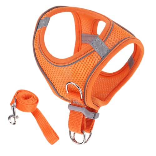 Cat Harness Eh~ - \ Up Lp n[lX - S M L TCY qLp xXg^  ybgpi s AEghA obNpbN g[jOp