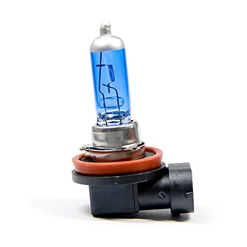 H11 Lampe LightWorld24 2 x H11 Birnen PGJ19-2 Halogenlampe