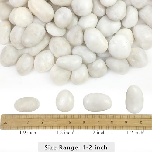 YISZM 5lbs White River Rocks, 1-2 Inch Natural Pebbles for Indoor Plants, High Polished Decorative Stones Vase Filler Fish Tank Aquariums Landscaping Garden Outdoor and Indoor DIY