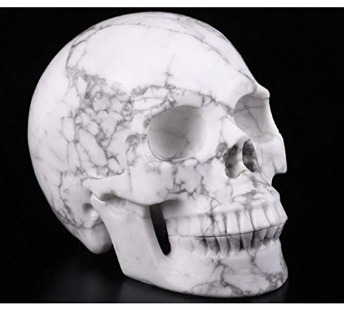 Skullis 5.0" Howlite Crystal Skull, Hand Carved Gemstone Fine Art Sculpture, Reiki Healing Stone Statue. #TOP17