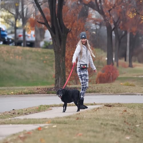 HW Collection Dog Paw Print Women Wallet Wristlet Crossbody Gifts Small Purse Clutch (Black Light Grey Paw)