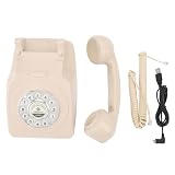 Vintage audio -Book Telefon Retro Stylowe Design Przezroczyste urządzenie do nagrywania dźwięku na wesele wydarzenia urodzinowe z kartą pamięci 8 GB i baterią 1200 mAh (Beżowy)