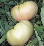 White Queen Tomato Seeds (25+ Seeds)