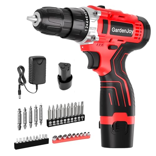 Cordless Drill,12V Electric Drill Driver with Battery and Charger,3/8" Keyless Chuck,2 Variable Speed,24+1 Torque Position,Compact Drill Kit for Home Maintenance,Automotive Repairs, DIY Drilling Red