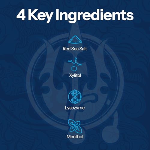 H2Ocean Arctic Ocean Mint Rinse Mouthwash, 16 Fluid Ounce with Sea Salt and Xylitol, Flouride & Alcohol Free