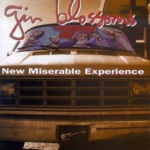 New Miserable Experience by A&M (1992-01-01)