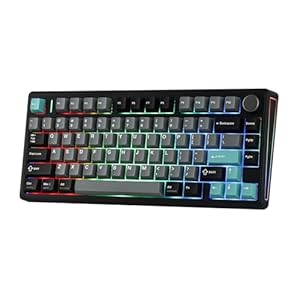 EPOMAKER TH80 V2 75% Kabellose Mechanische Gaming-Tastatur, 8000mAh&2, 4G/BT, Hot-Swap, Mac Modifier, RGB, Programmierbare Tasten & Knopf, Creamy Tastatur für Mac/PC (Schwarz, Creamy Jade)
