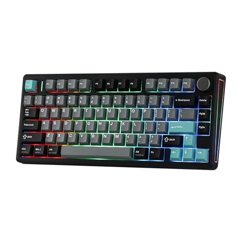 EPOMAKER TH80 V2 75% ���C�����X���J�j�J���Q�[�~���O�L�[�{�[�h 8000mAh 2.4G/BT/USB�L�� �e���L�[���X �z�b�g�X���b�v�Ή� PBT�L�[�L���b�v Mac�p�C���L�[ RGB�o�b�N���C�g �T�C�h���C�g �v���O�����\�L�[ �m