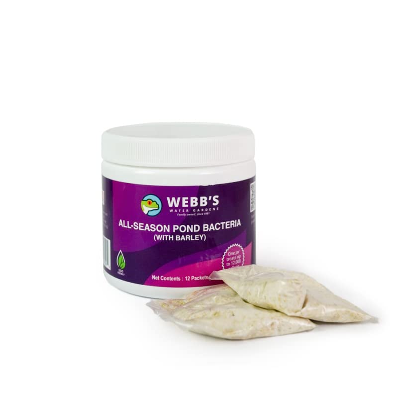 Webb's Water Gardens Całoroczne bakterie stawowe z paczkami jęczmienia – nośność do 2000 galonów – 12 opakowań dla łatwego nakładania – 2,3 kg – idealne do oczyszczania wody w stawie i utrzymania