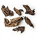 Licsaliwe Natural Driftwood Aquarium Decor, Landscape Wood Stump Ornament for Fish Tank & Plant Scaping