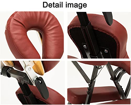 DRYIC Portable Folding Massage Chair,Professional Massage Tattoo Chair Bed with with Carrying Bag,Beauty Bed Salon Chair (Brown)