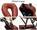 DRYIC Portable Folding Massage Chair,Professional Massage Tattoo Chair Bed with with Carrying Bag,Beauty Bed Salon Chair (Brown)