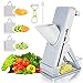 Mandolina 4 in 1, Affettatrice Manuale, Tagliaverdure Taglia verdure con Scatola di Raccolta e Spazzola di Pulizia, per tagliare e affettare patate, cipolle, frutta